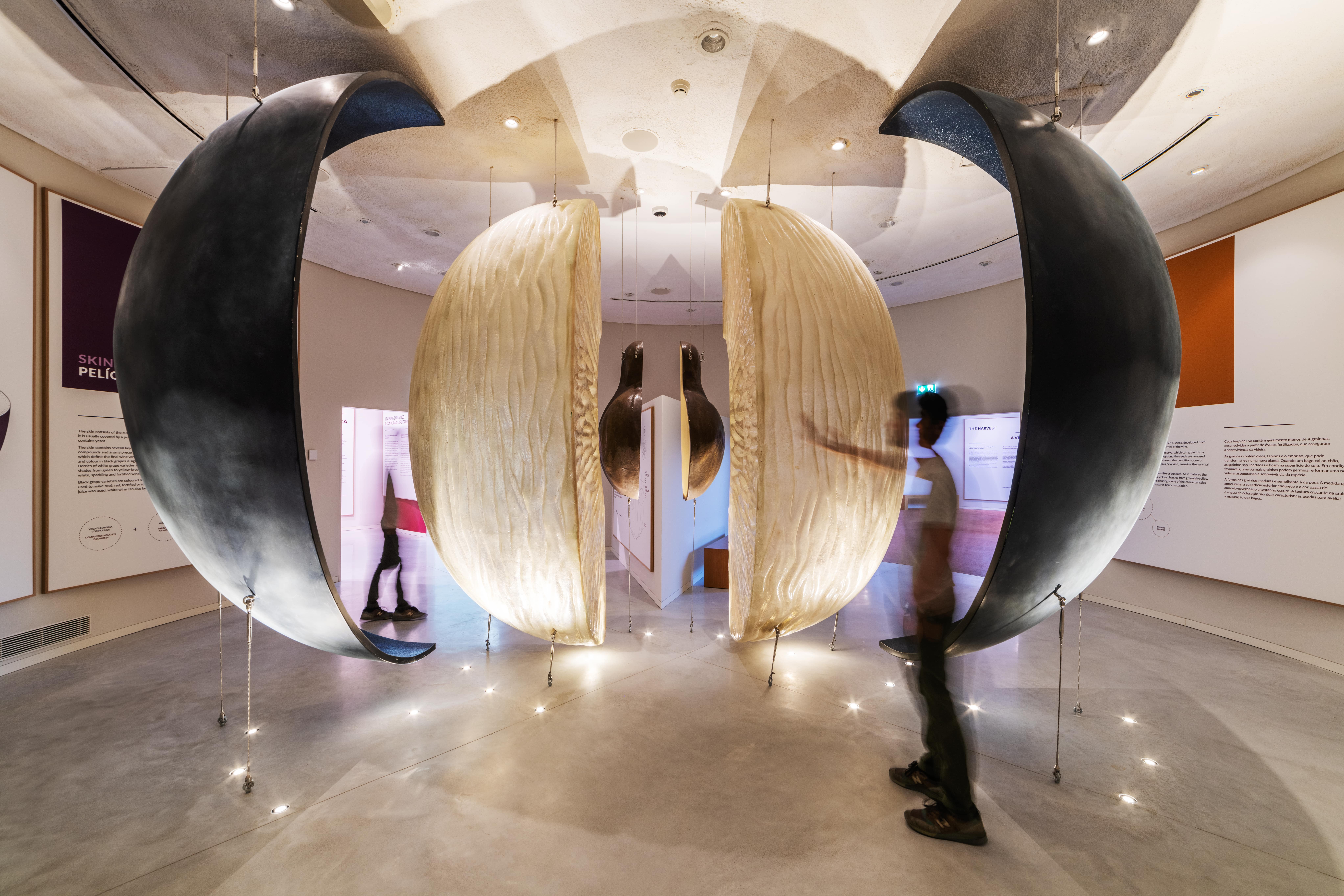 Wow â visit to âthe wine experienceâ museum