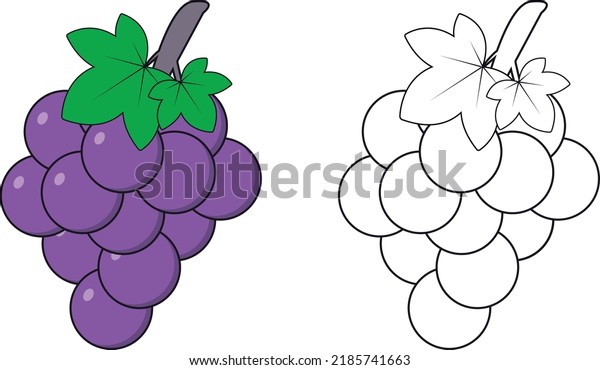 Uvas para colorear images stock photos d objects vectors