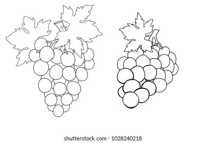 Uvas para colorear images stock photos d objects vectors