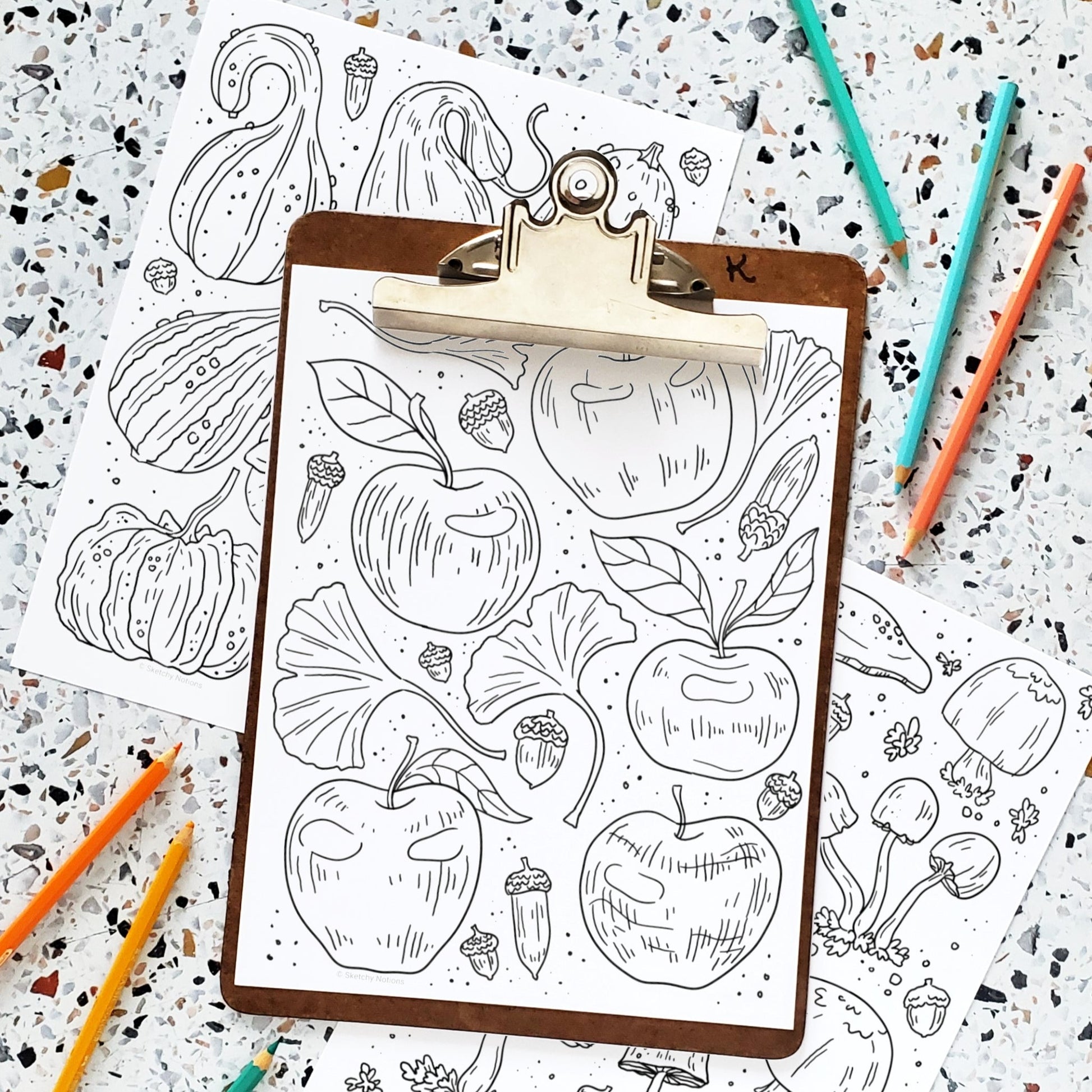 Fall harvests coloring pages printable apples gourds mushrooms â sketchy notions
