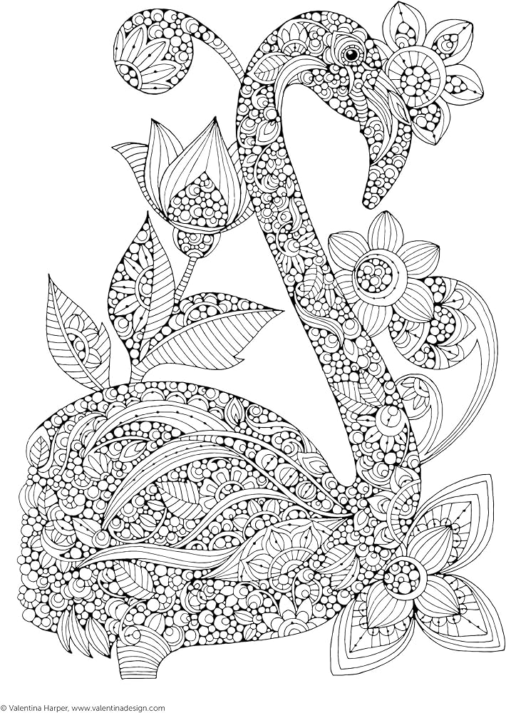 Creative coloring birds art activity pages to relax and enjoy design originals designs with owls songbirds peacocks and more on extra