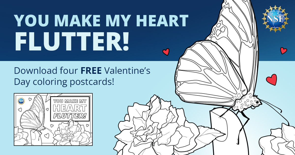 National science foundation on x you make my heart flutter ð valentines day is fast approaching dont forget to download your nsf valentines day coloring postcards ð httpstcombtlweumrv httpstcocenxfb x