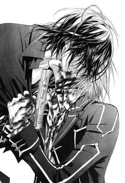 Vampire knight lets fall asleep