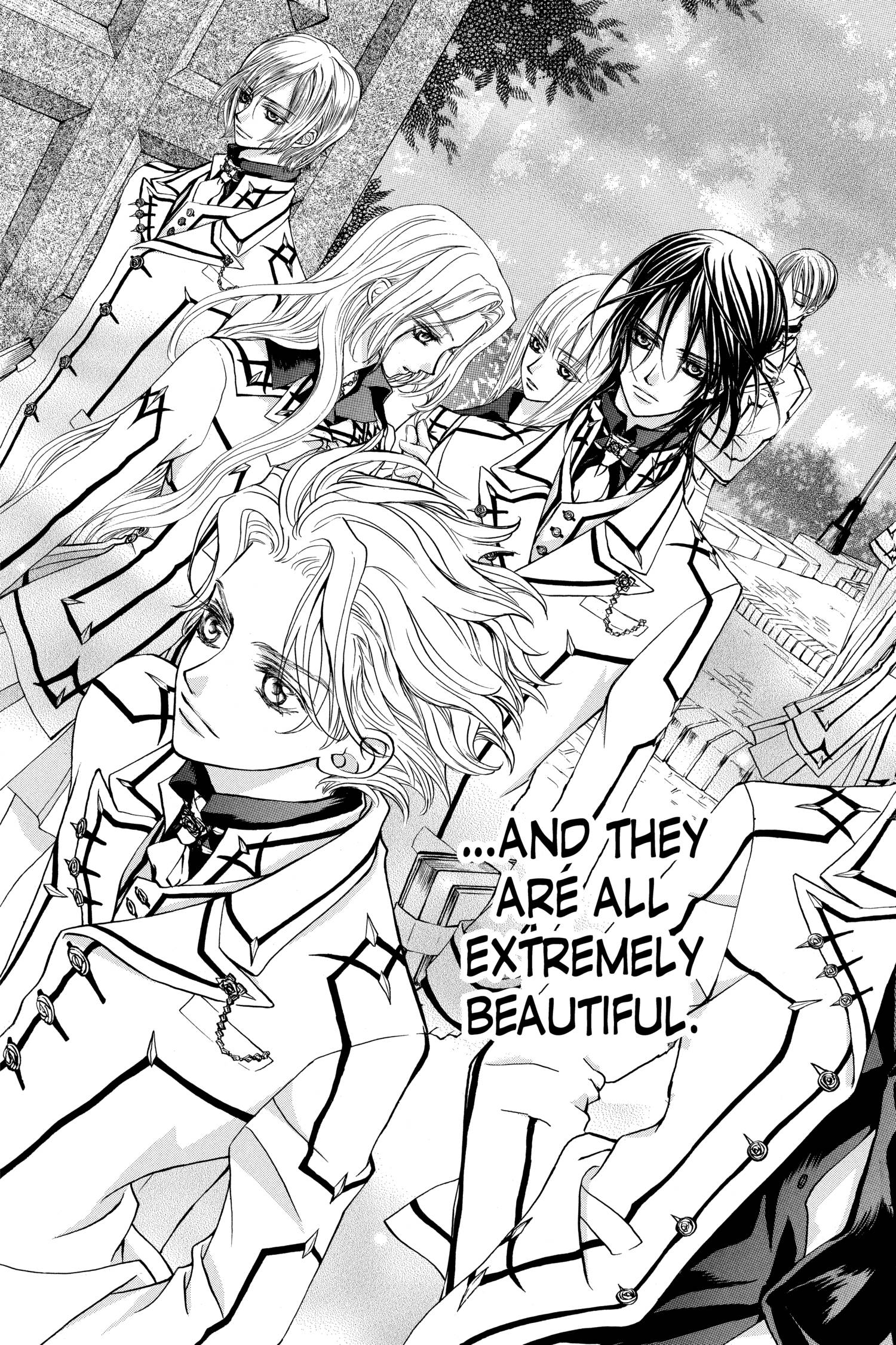 Vampire knight manga volume