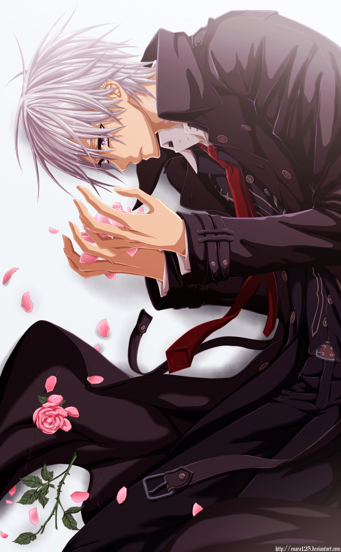 Anime picture vampire knight x fr