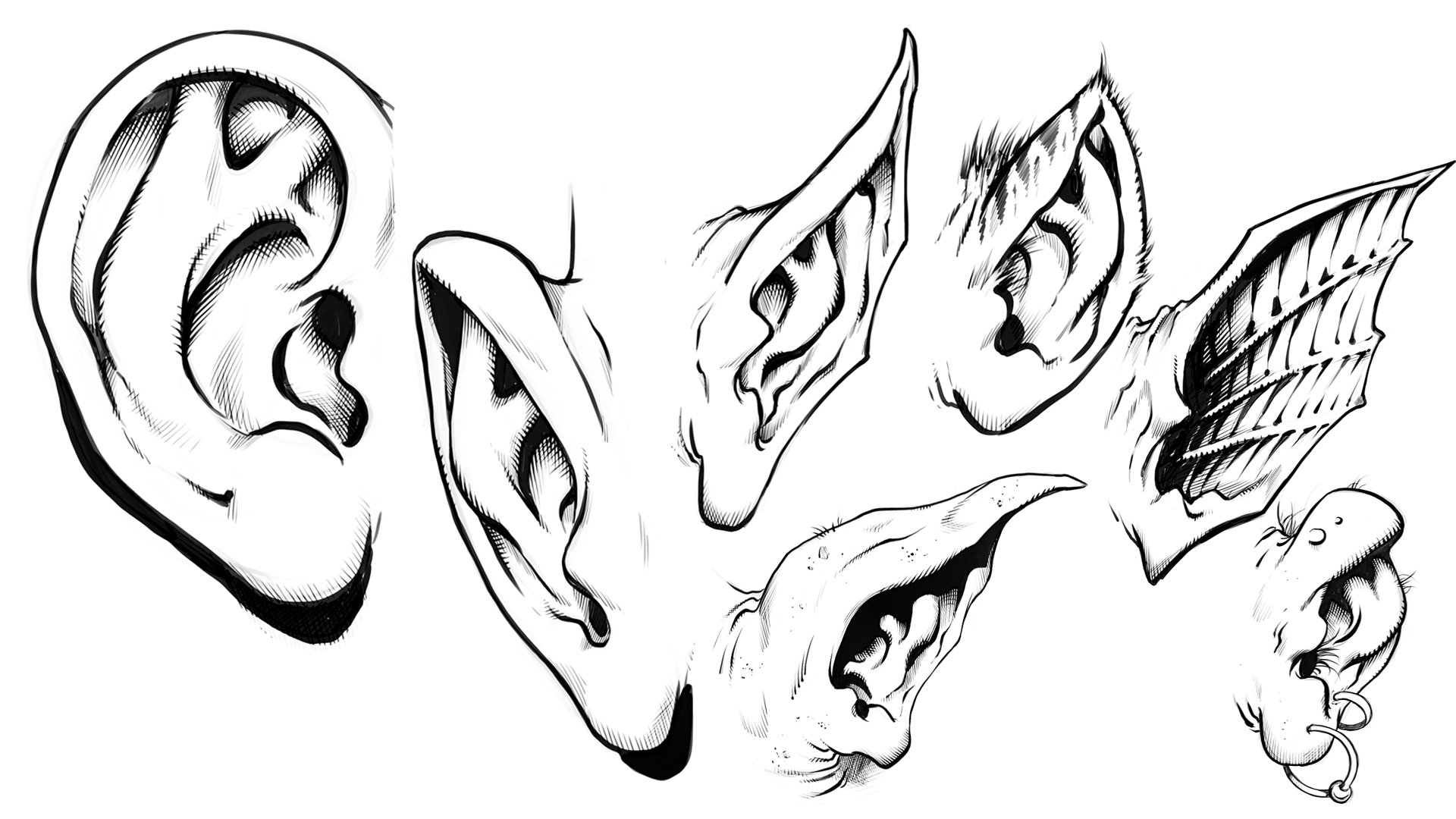 How to draw ears for humans and monsters robert marzullo