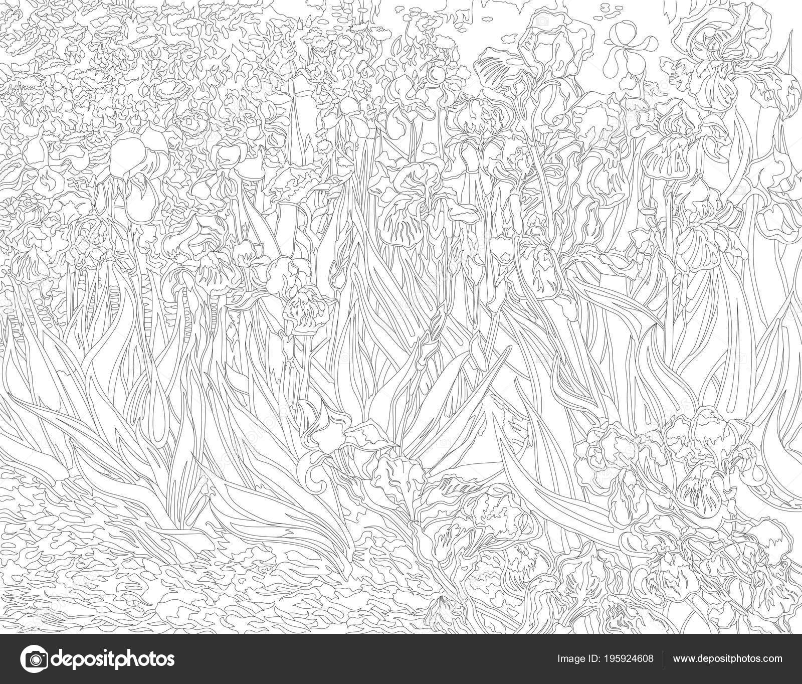 Irises vincent van gogh adult coloring page stock photo by rawpixel