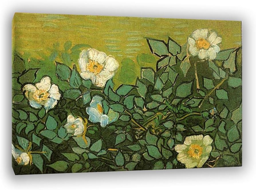 Vincent van gogh