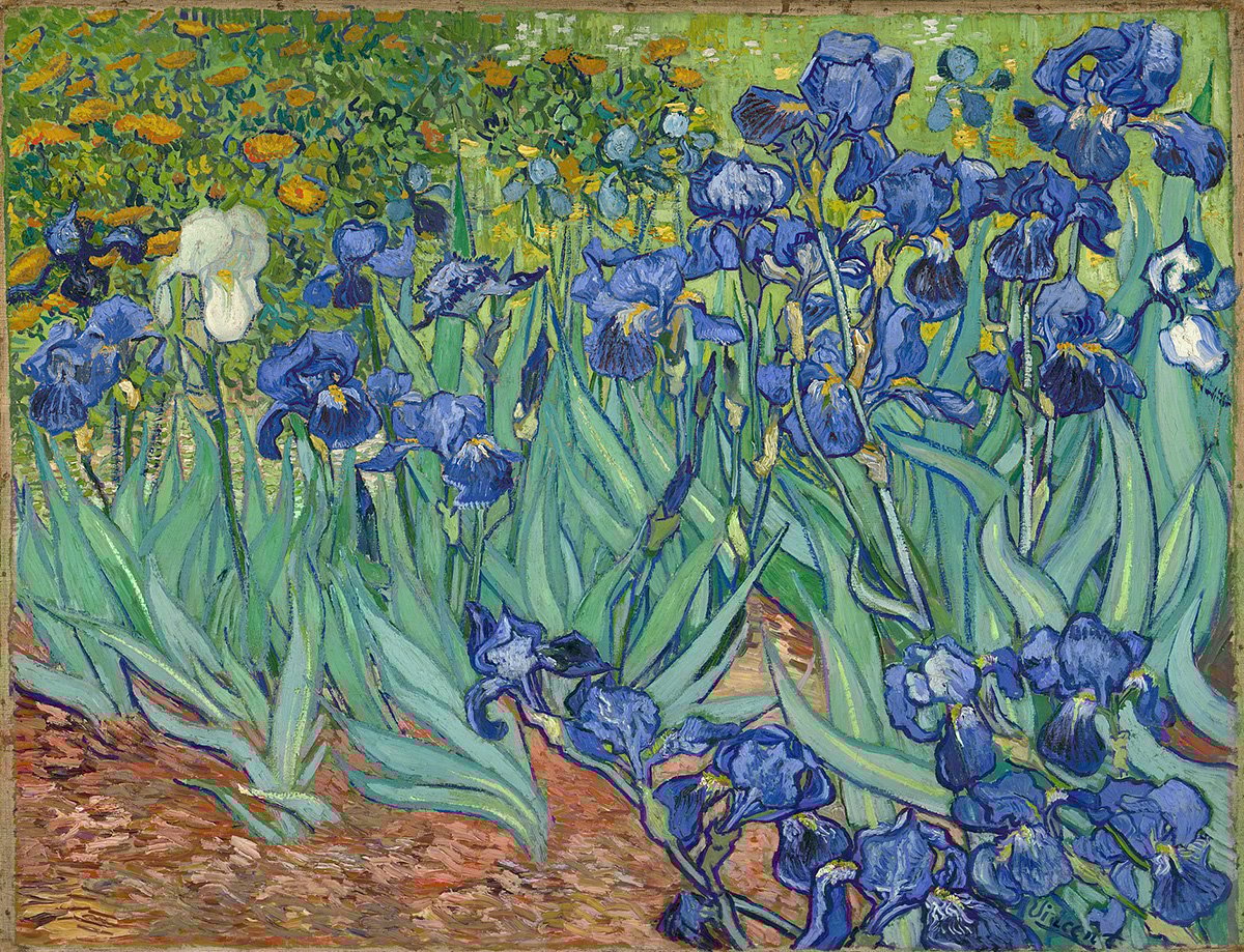 Vincent van goghs irises