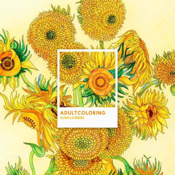 Sunflowers vincent van gogh adult coloring page stock illustration by rawpixel