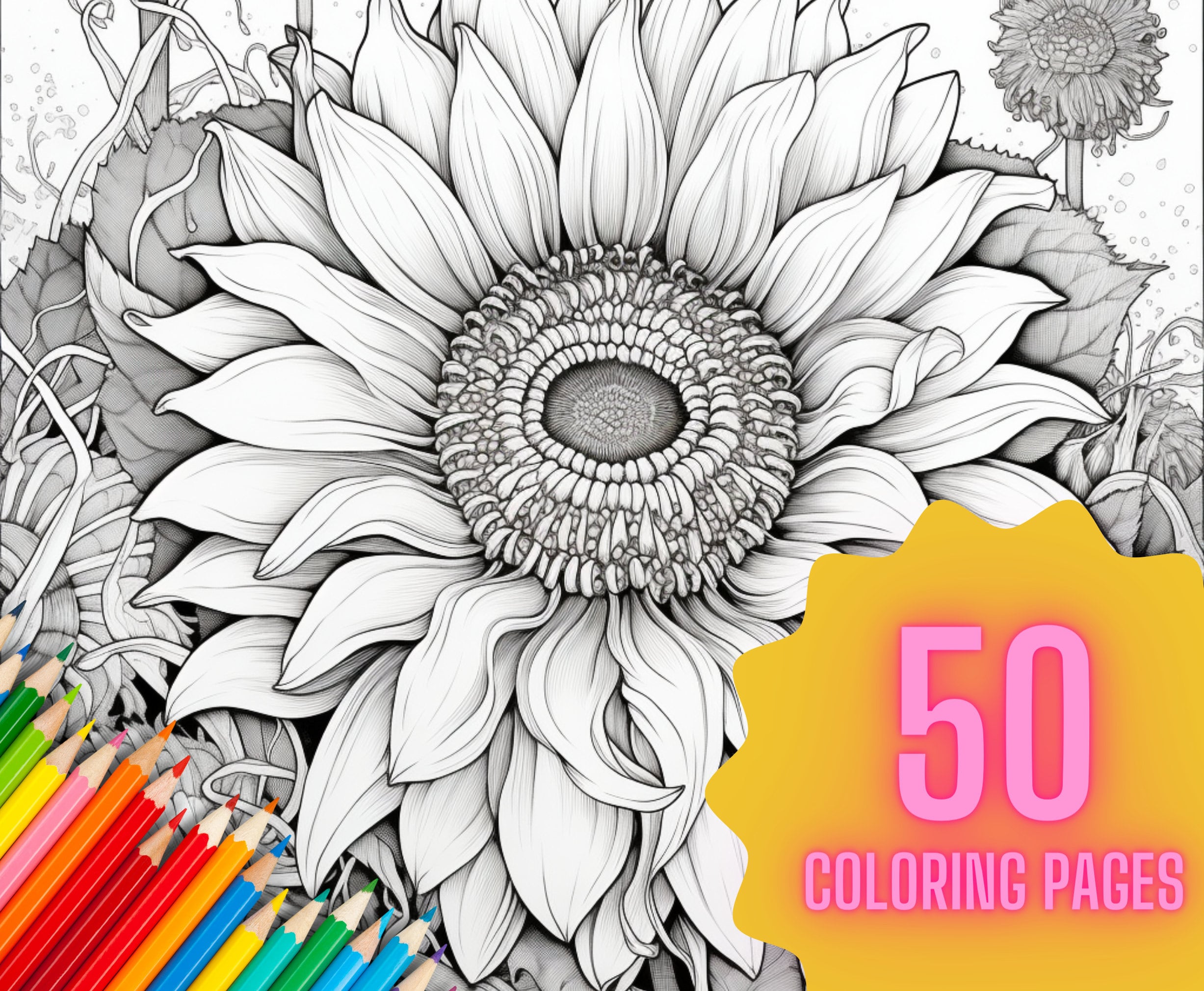 Sunflower coloring