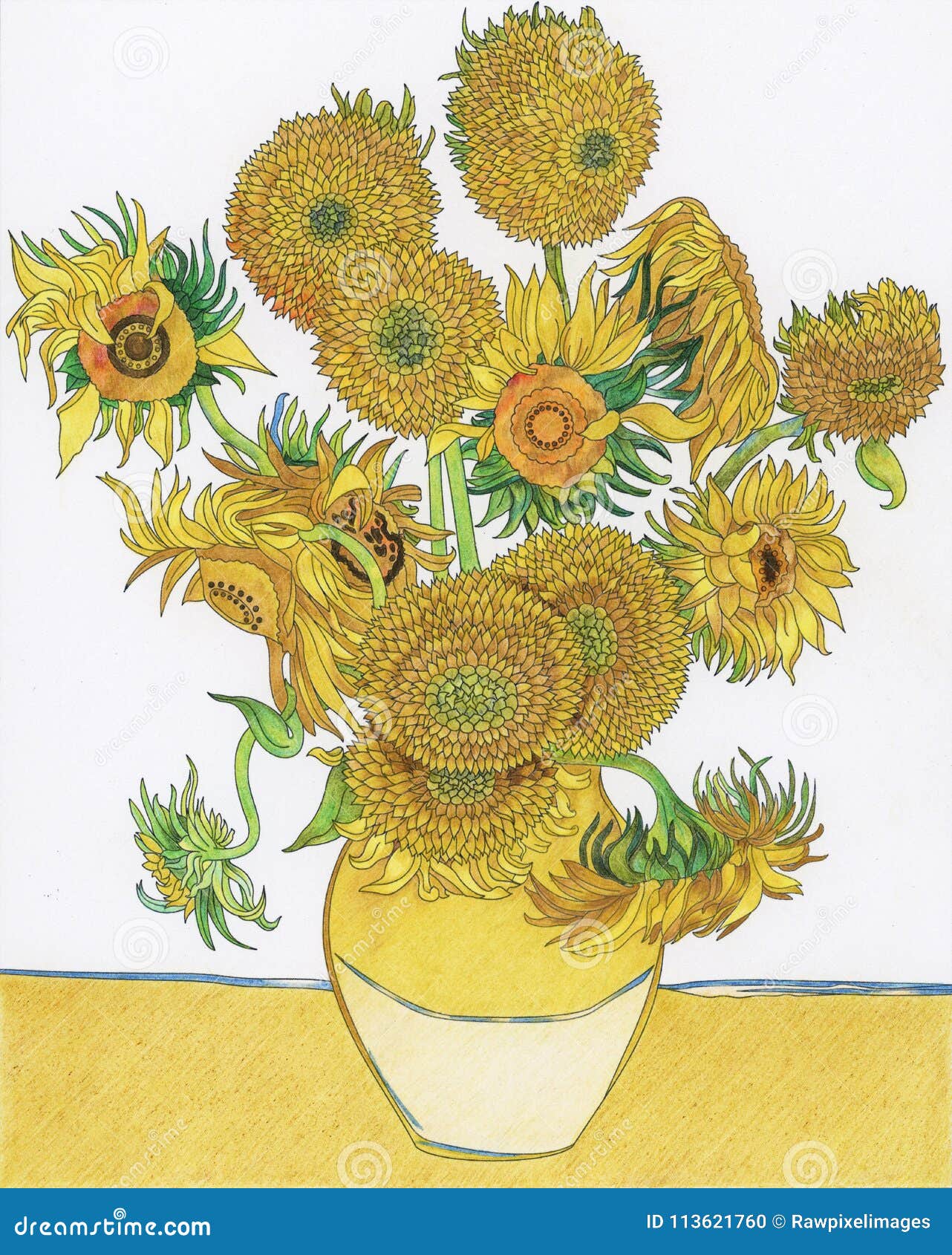 Sunflower coloring page stock illustrations â sunflower coloring page stock illustrations vectors clipart