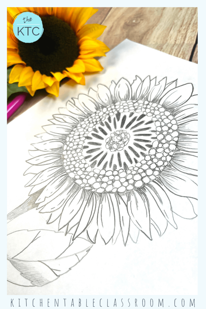 Six easy steps to draw a sunflower