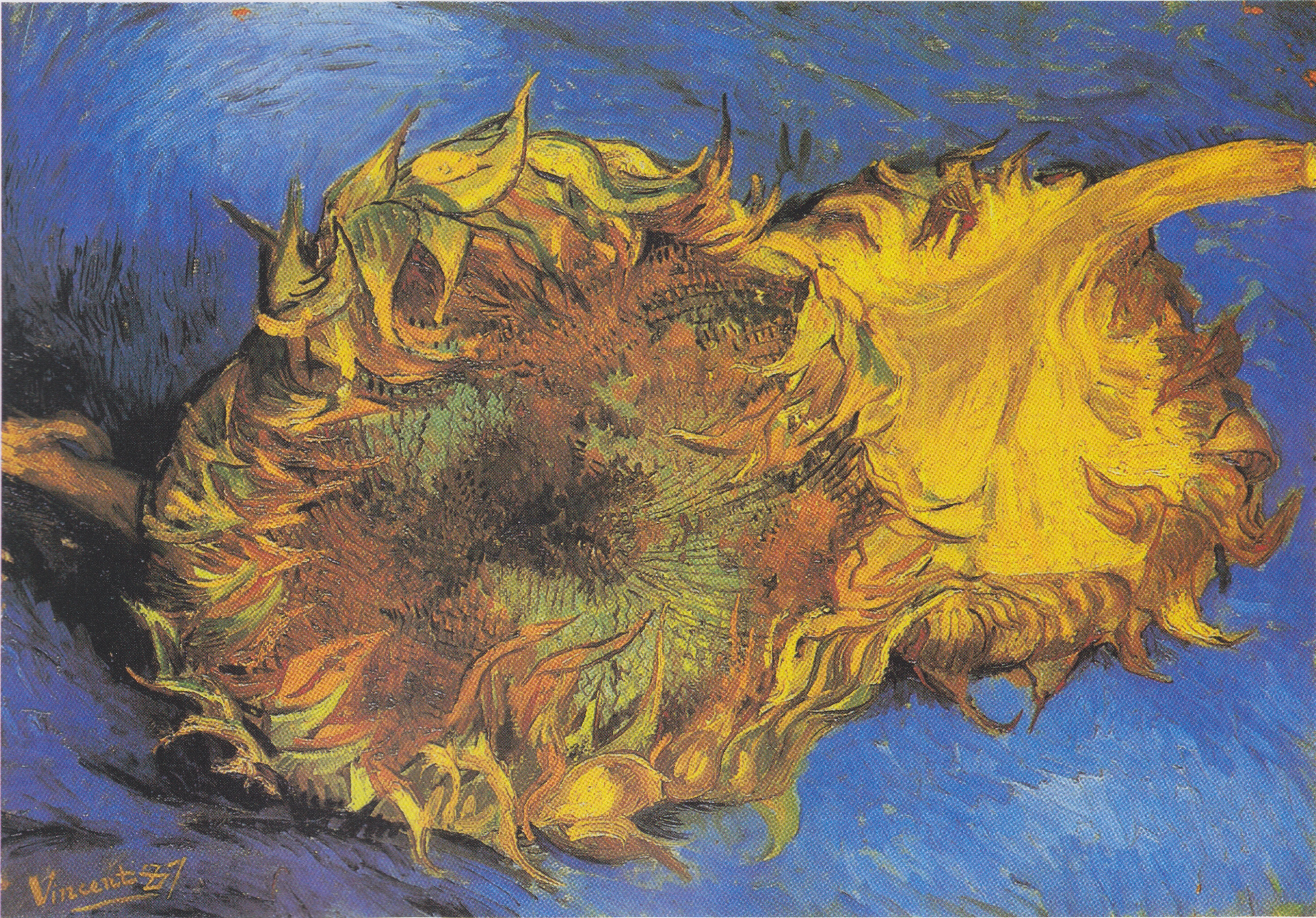 Filevan gogh