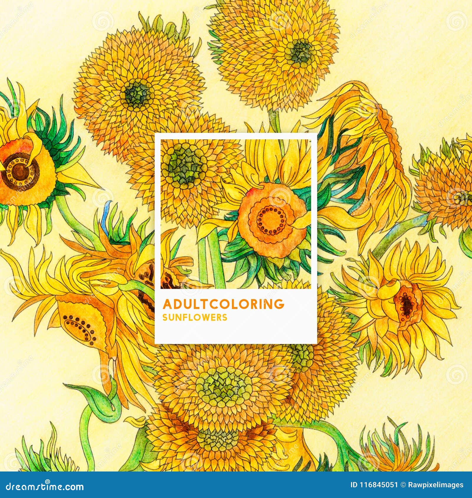 Sunflowers by vincent van gogh adult coloring page stock illustration