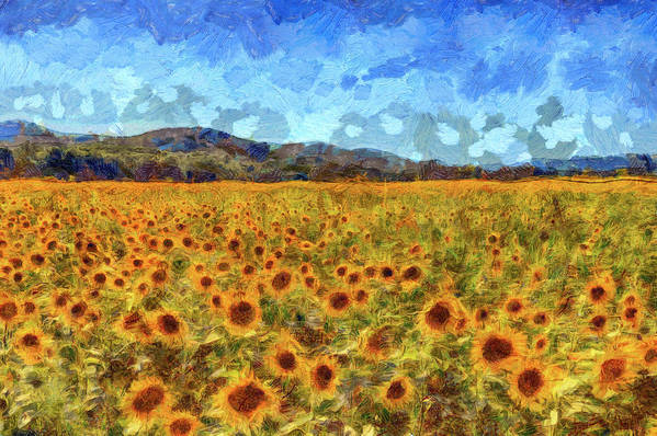 Van gogh summer sunflowers poster by david pyatt