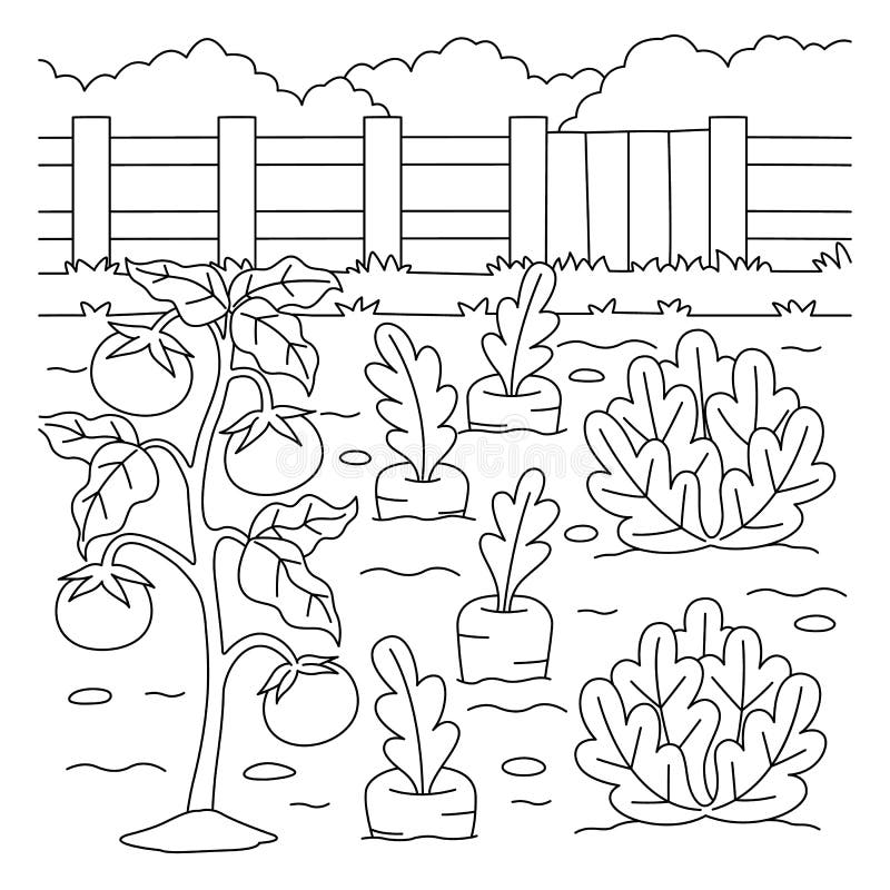 Vegetable garden coloring page stock illustrations â vegetable garden coloring page stock illustrations vectors clipart
