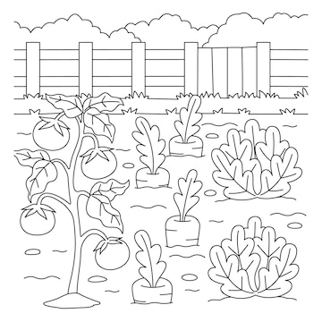 Premium vector vegetable field coloring page for kids