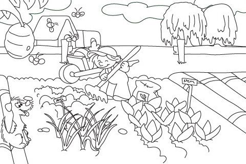 Vegetable garden coloring pages livro de colorir plantaãão desenhos