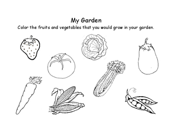 My garden coloring page by jz in the classroom tpt