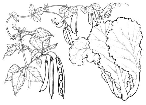 Vegetable garden coloring pages free printable pictures