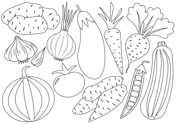 Vegetable garden coloring page stock photos pictures royalty