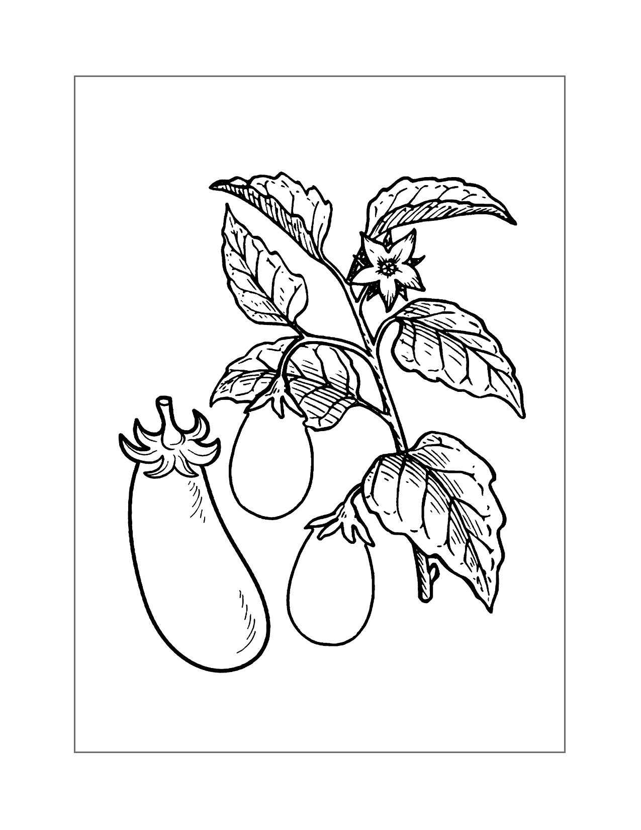 Eggplant pages â printable pages