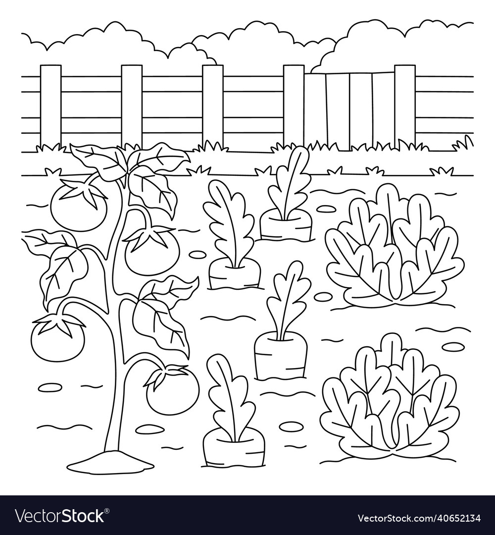 Vegetable field coloring page for kids royalty free vector
