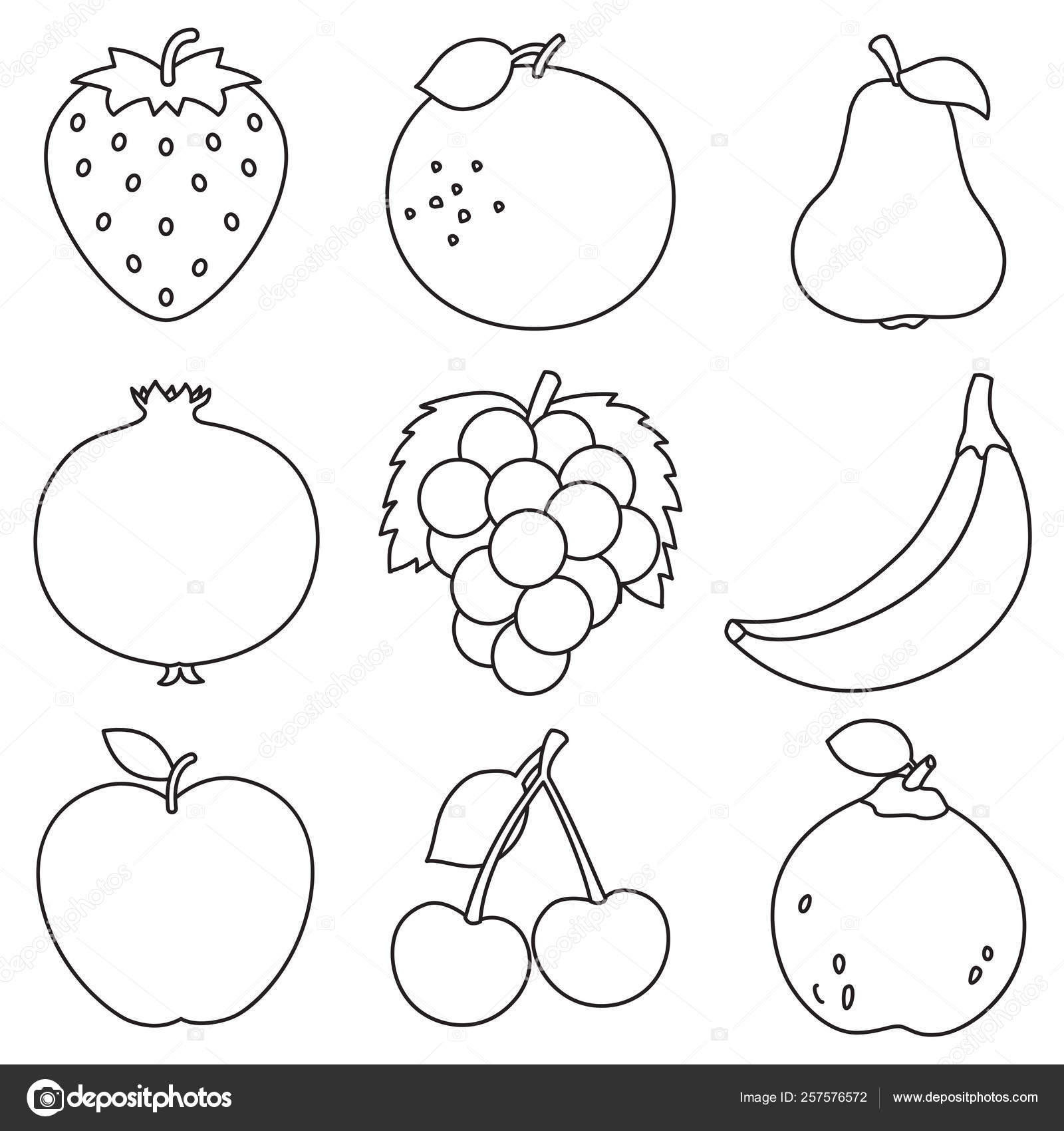Vector illustration fruits coloring page stock vector by yusufdemirci