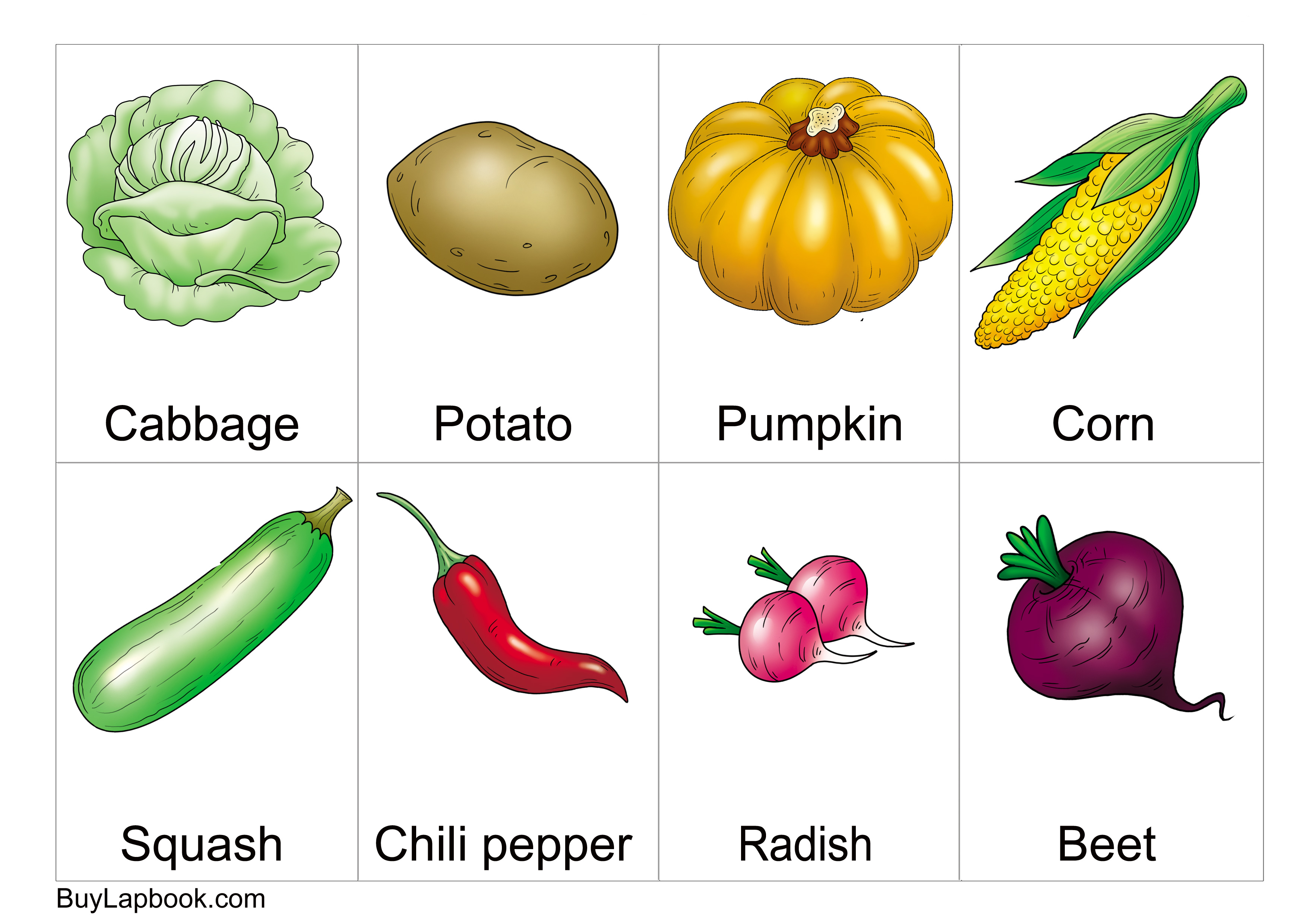 Free printable vegetables flashcards with names for preschoolers