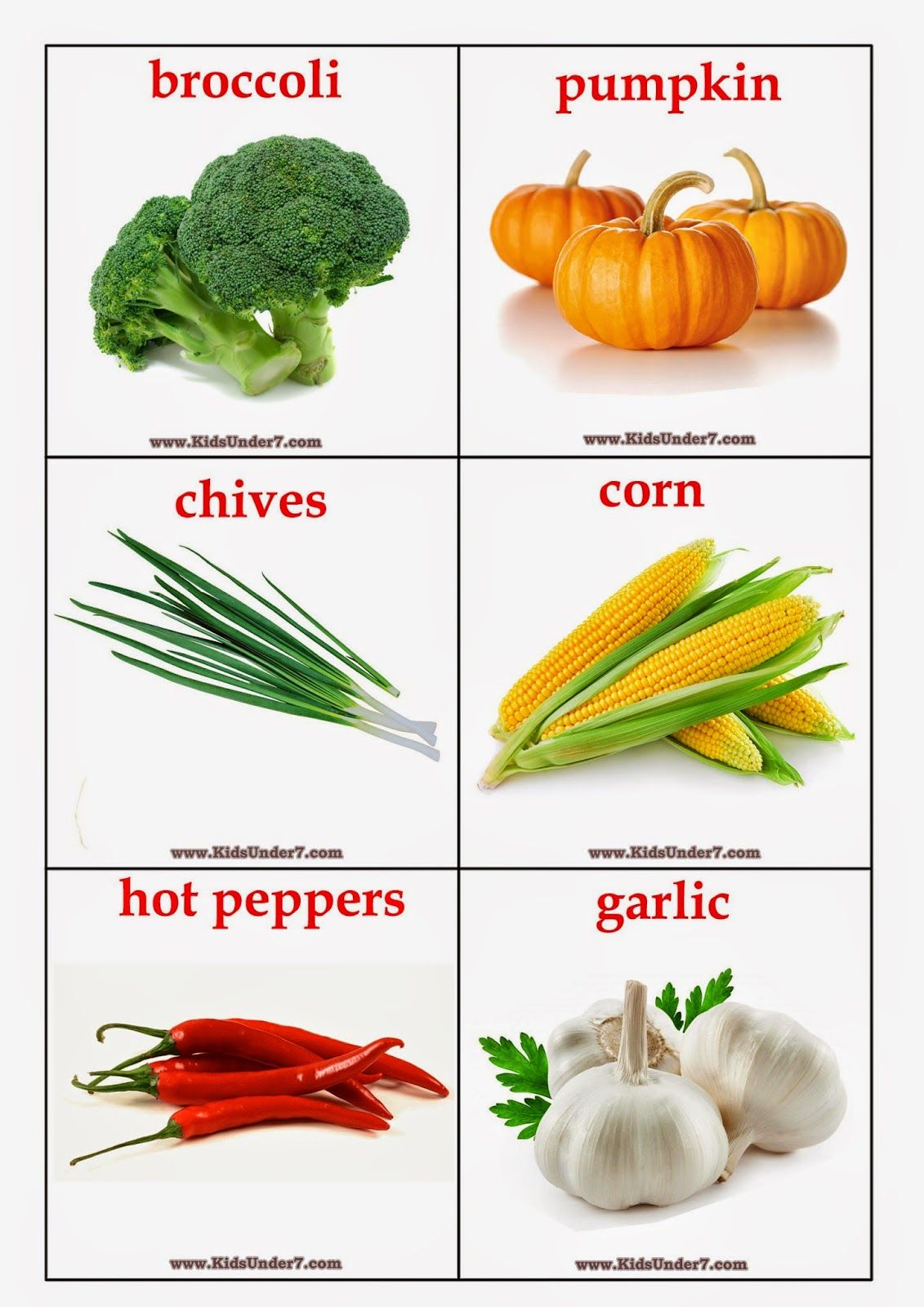 Vegetables flashcards free flash cards vegetables there are flashcards including vegetables mushrooms zucchini radisheâ ðððñð ðððñð ððñ ððµñðµð ððñ ððµñðµð