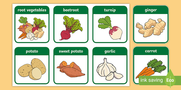 Root vegetables flashrds teacher made
