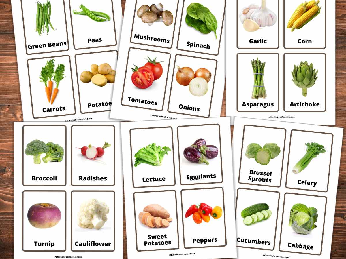 Printable vegetable flashcards