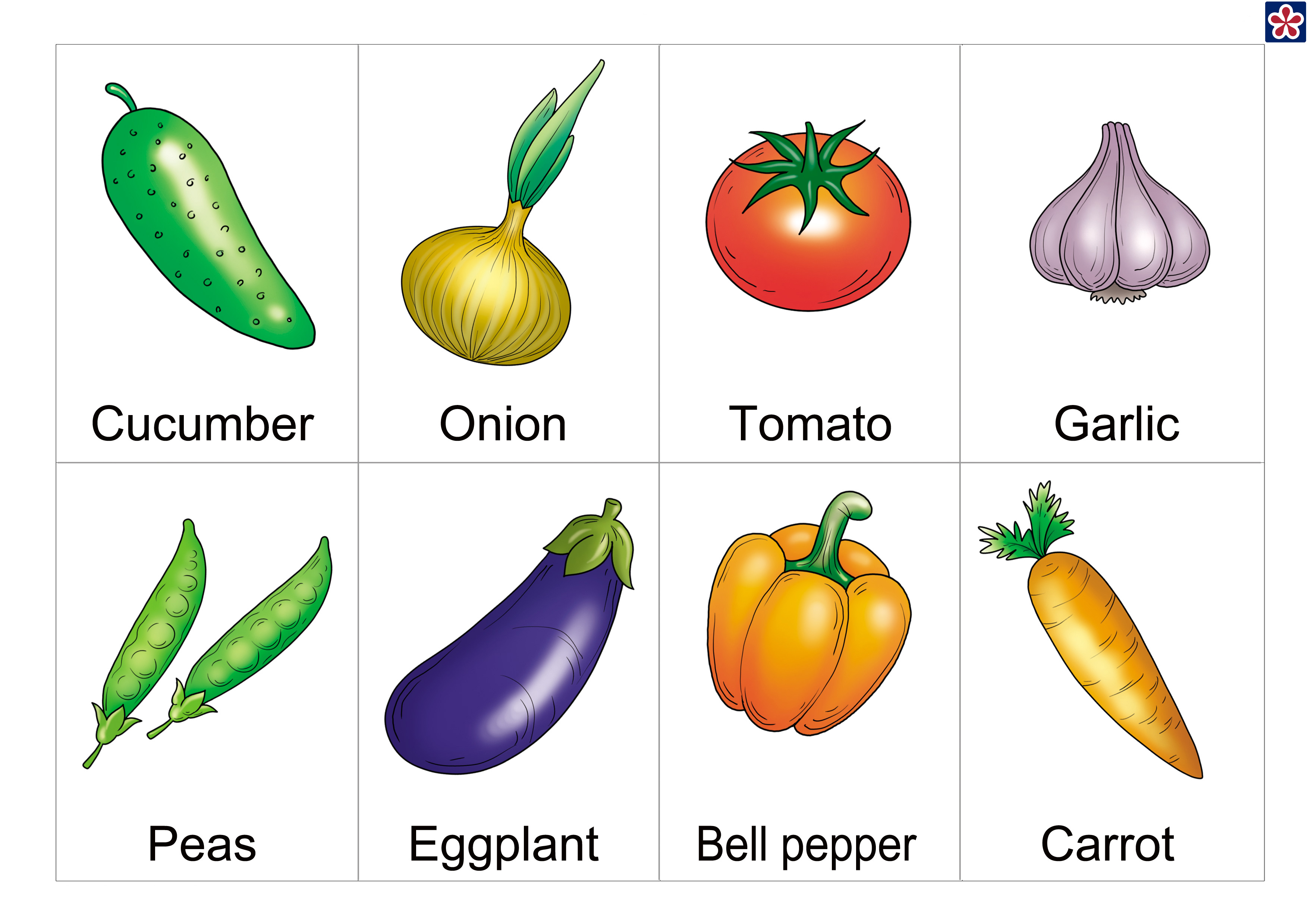 Free printable vegetables flashcards with names for preschoolers