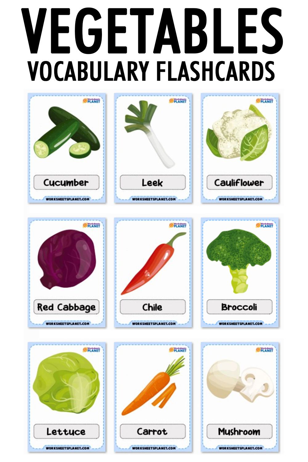 Vegetables flashcards vocaulary flashcards flashcards for kids vocabulary