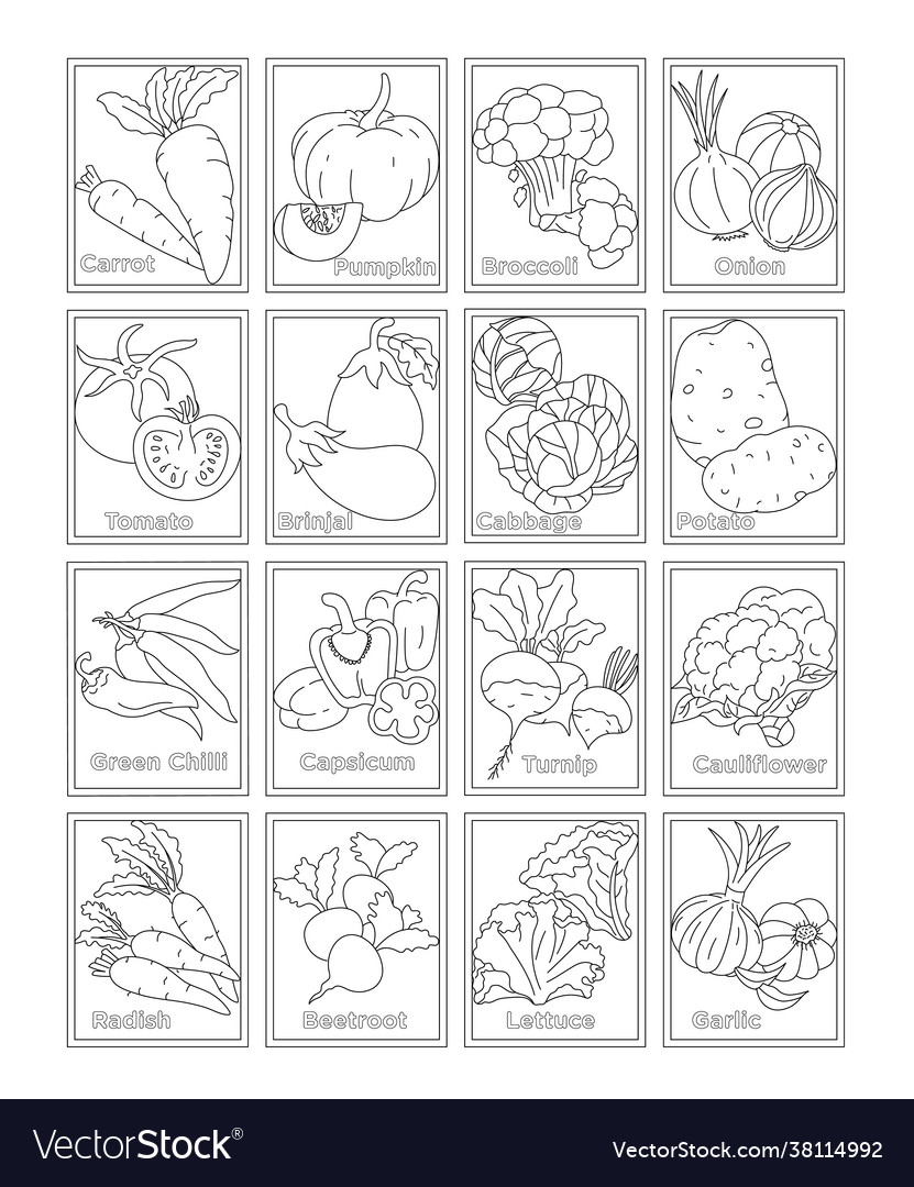 Pack vegetables coloring pages royalty free vector image