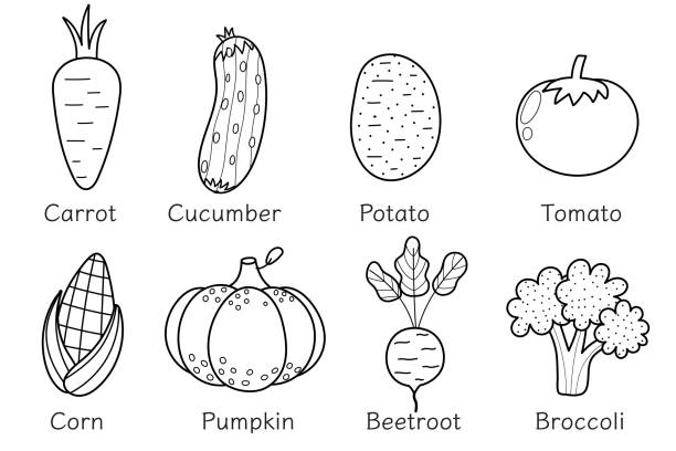 Black and white vegetables collection in cartoon style healthy food coloring page or poster with vegetables and their names stock illustration