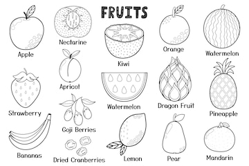 Premium vector black and white fruits collection healthy food isolated elements great for coloring page recipes