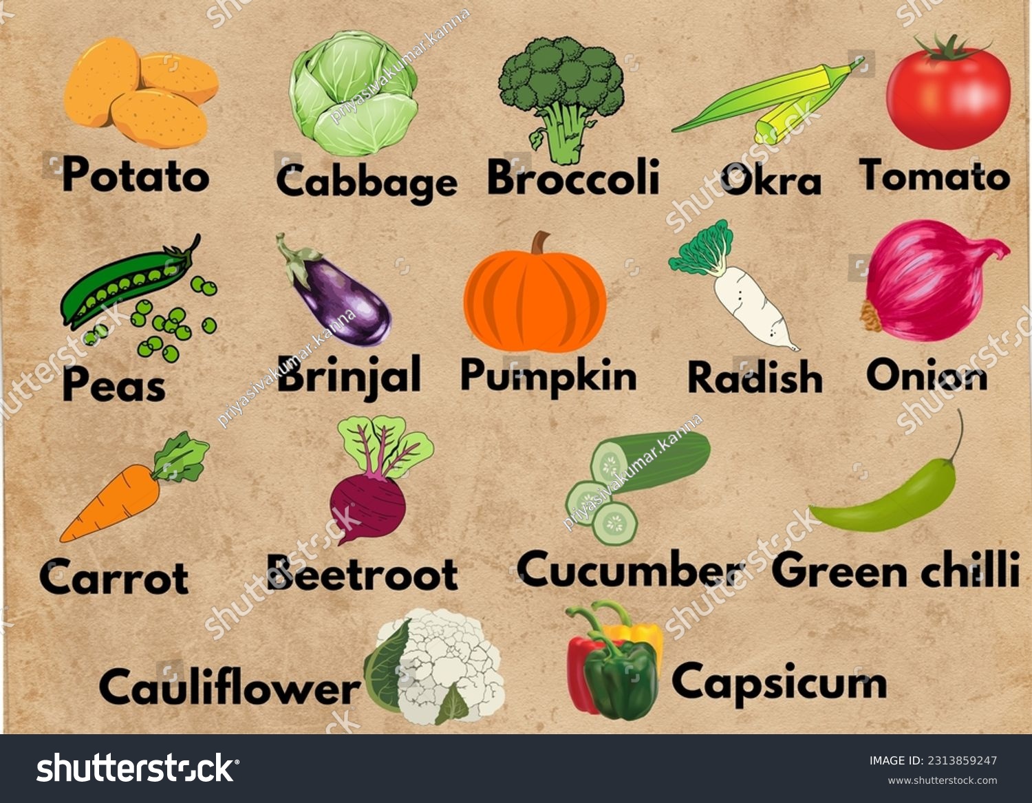 Thousand cartoon vegetables name royalty