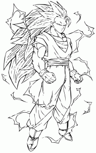 Songoku and vegeto