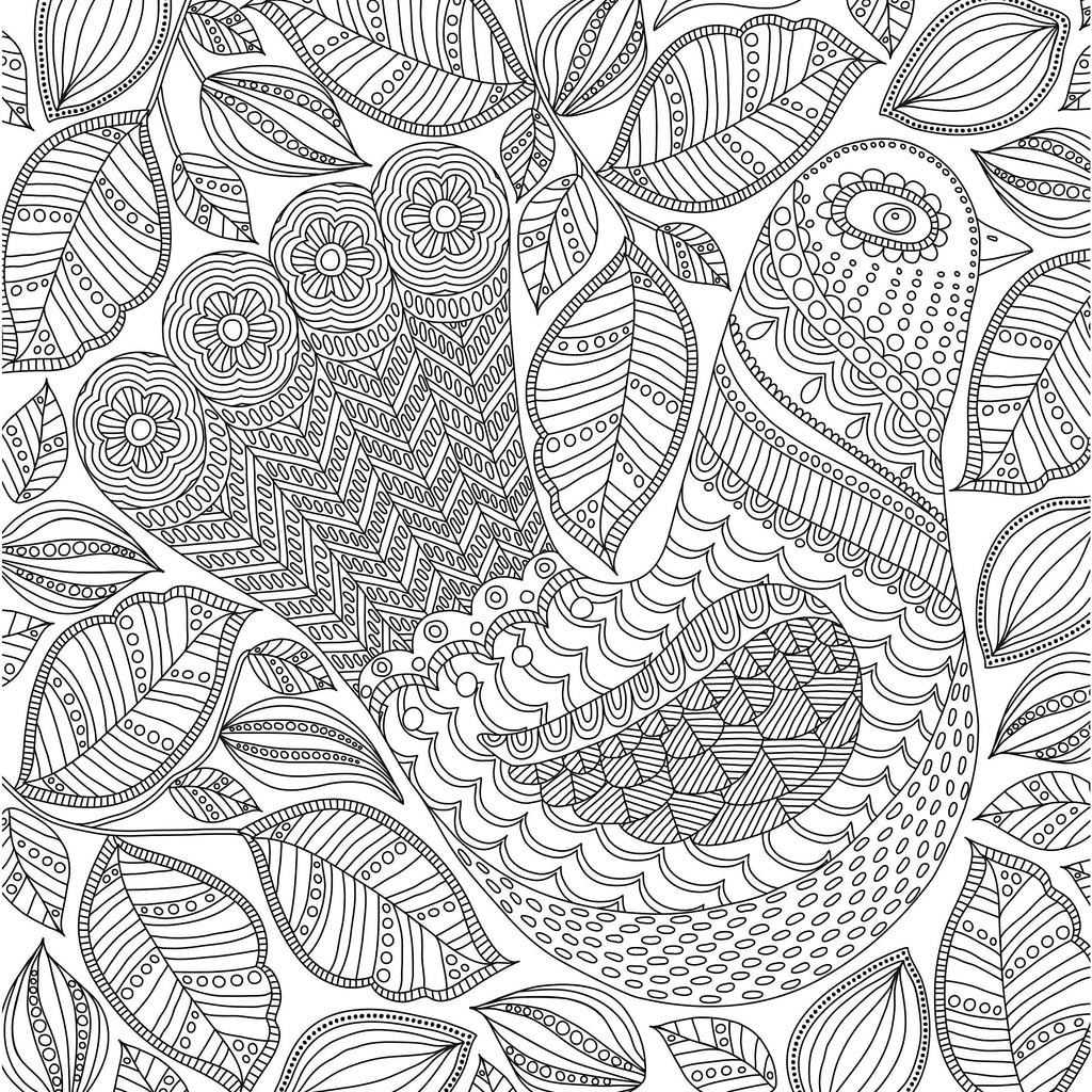 Coloring book blooms birds butterflies piex