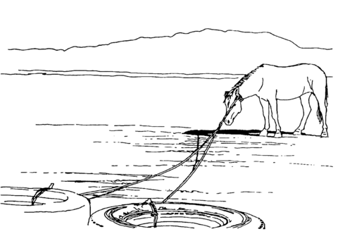People often used unhuman practices for catching wild horses coloring page free printable coloring pages