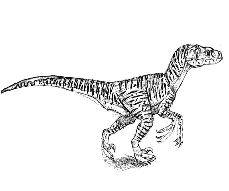 Coloring pages jurassic world velociraptor blue