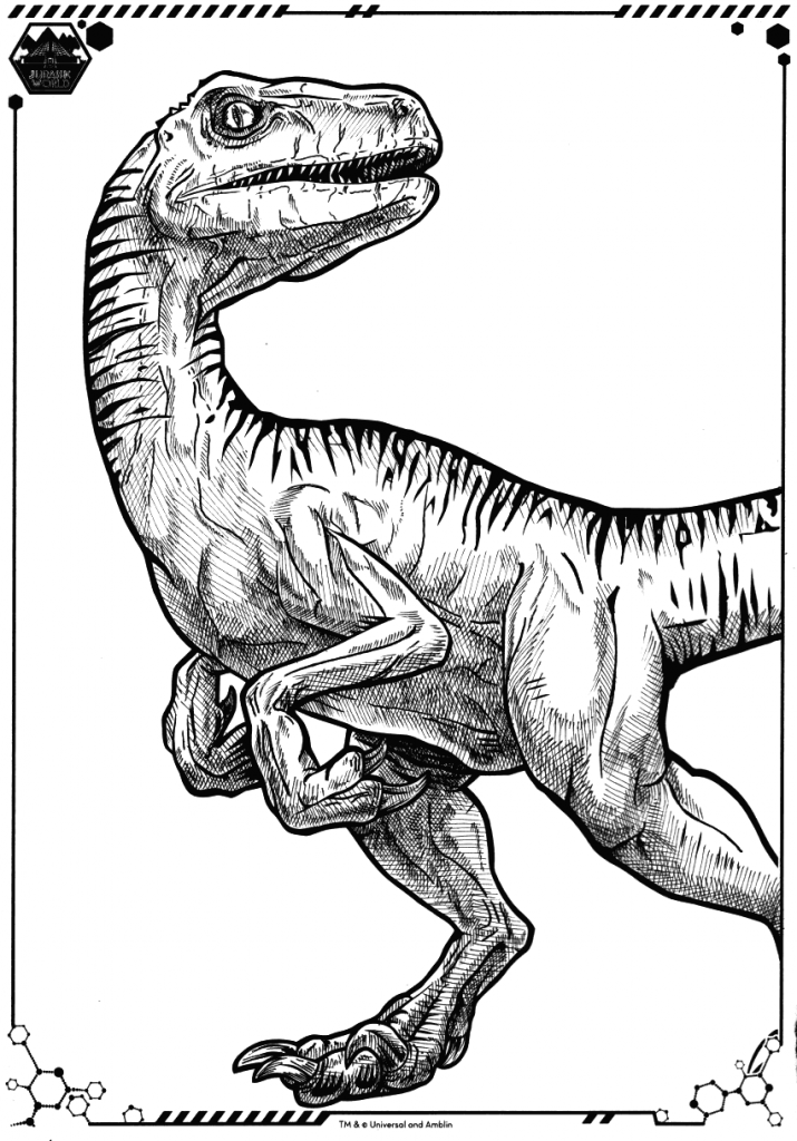 Printable coloring pages dinosaur sketch dinosaur drawing coloring pages