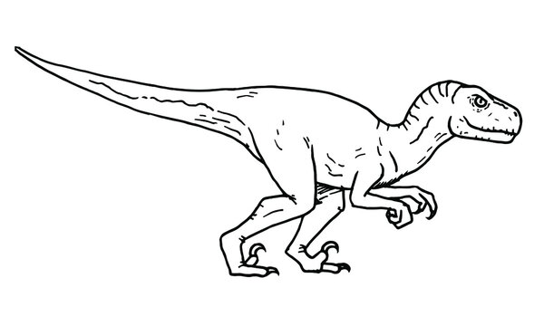 Velociraptor outline images â browse photos vectors and video