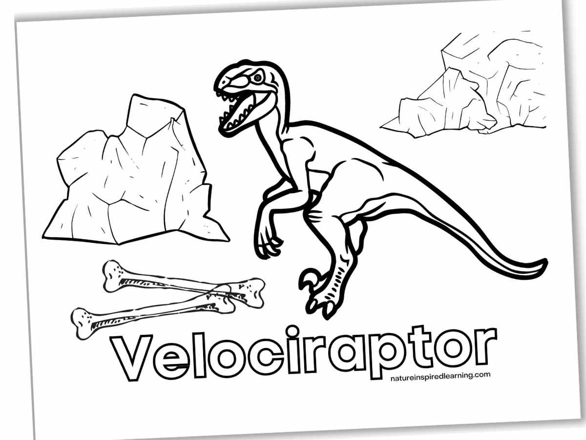Dinosaur coloring pages