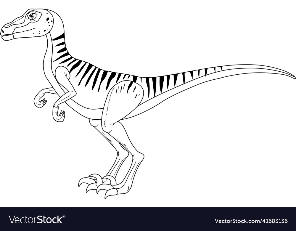 Velociraptor dinosaur doodle outline on white vector image