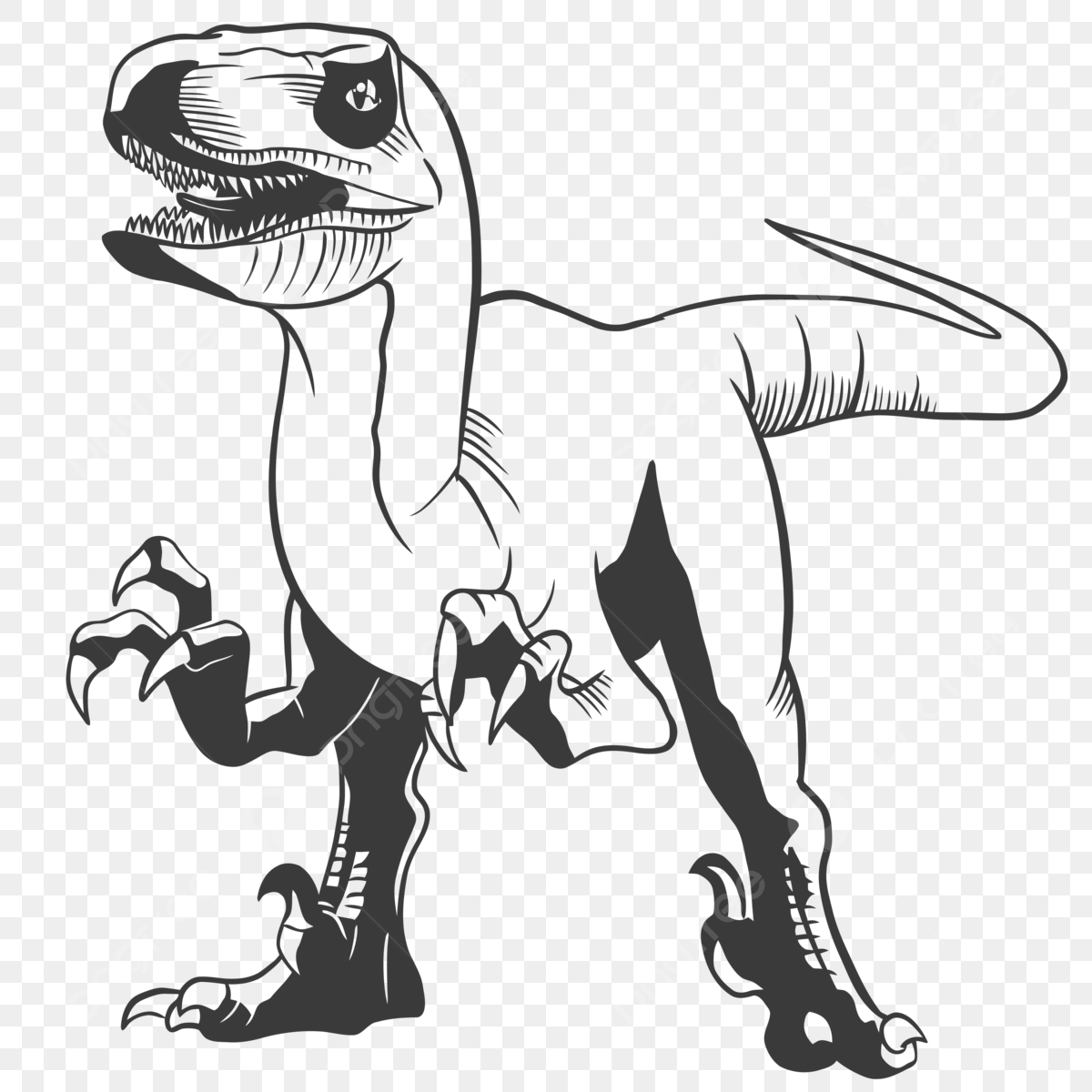 Velociraptor drawing png transparent images free download vector files