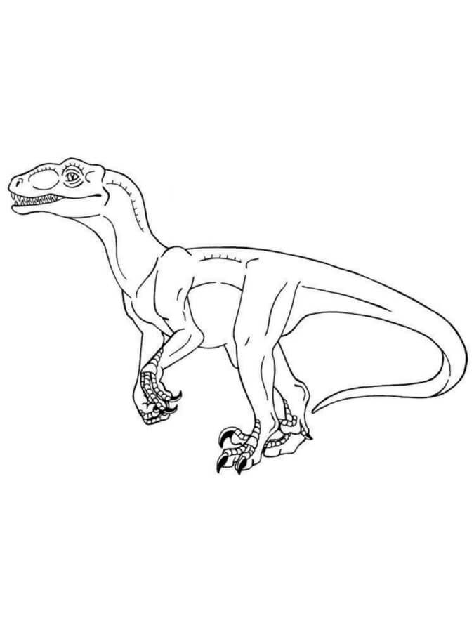 Velociraptor coloring pages