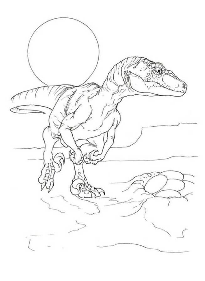 Velociraptor coloring pages